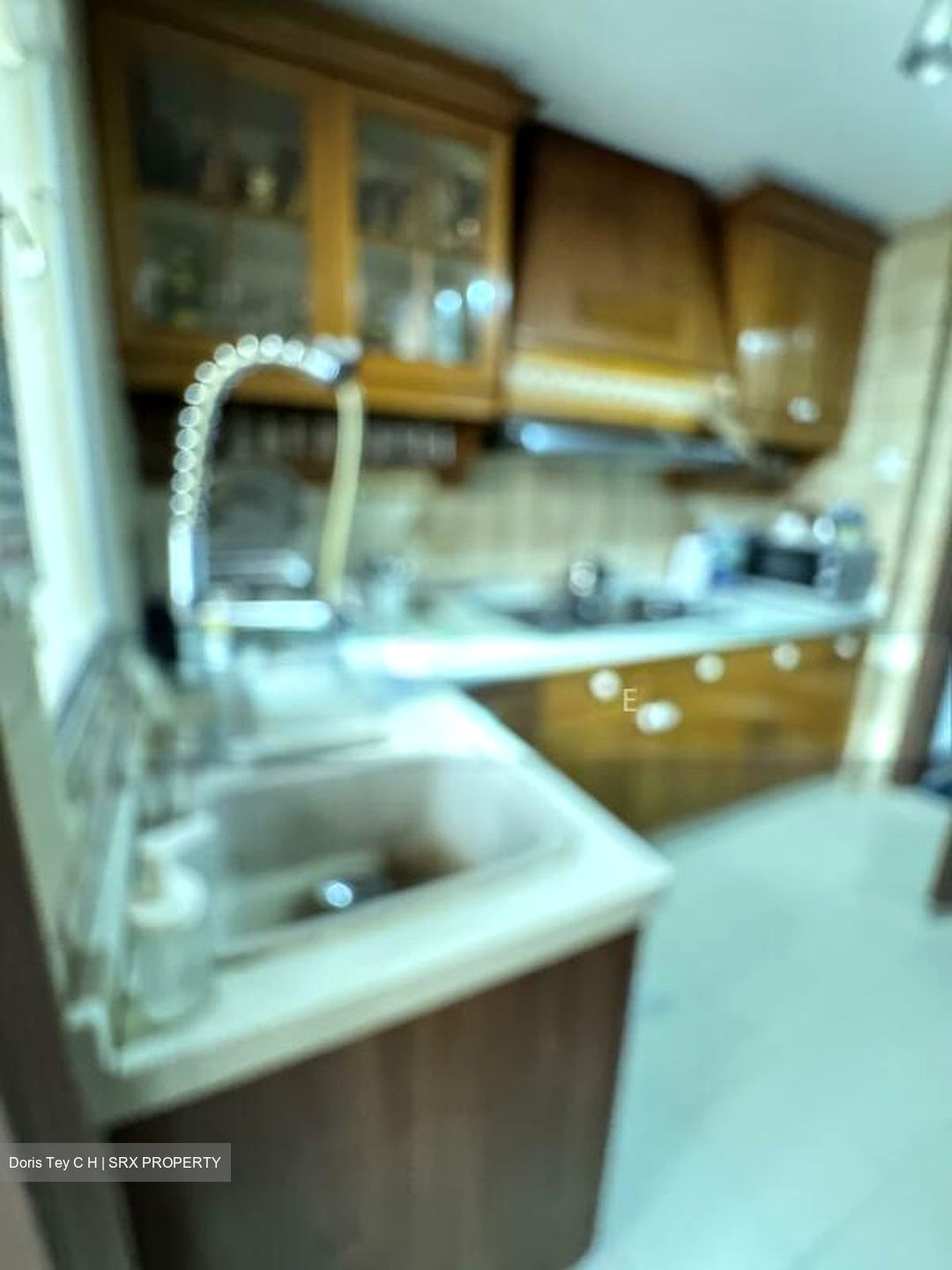 Kentish Green (D8), Apartment #520940581